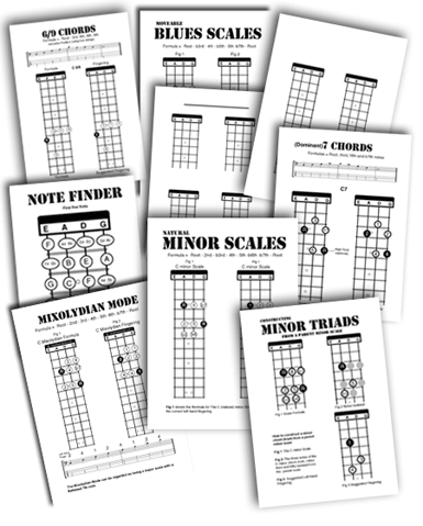 bass guitar teaching handouts scales and blank necks for a teaching business